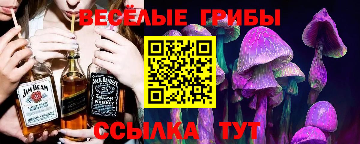 Псилоцибиновые грибы Cubensis  Вход с VPN  Апатиты 